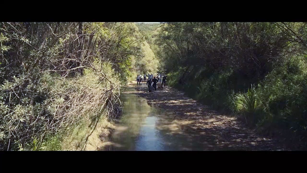 Tödliche Ahnung Teaser OV