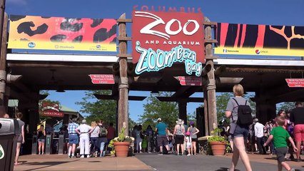 10 People Who Fell Into Animal Enclosures At Zoos