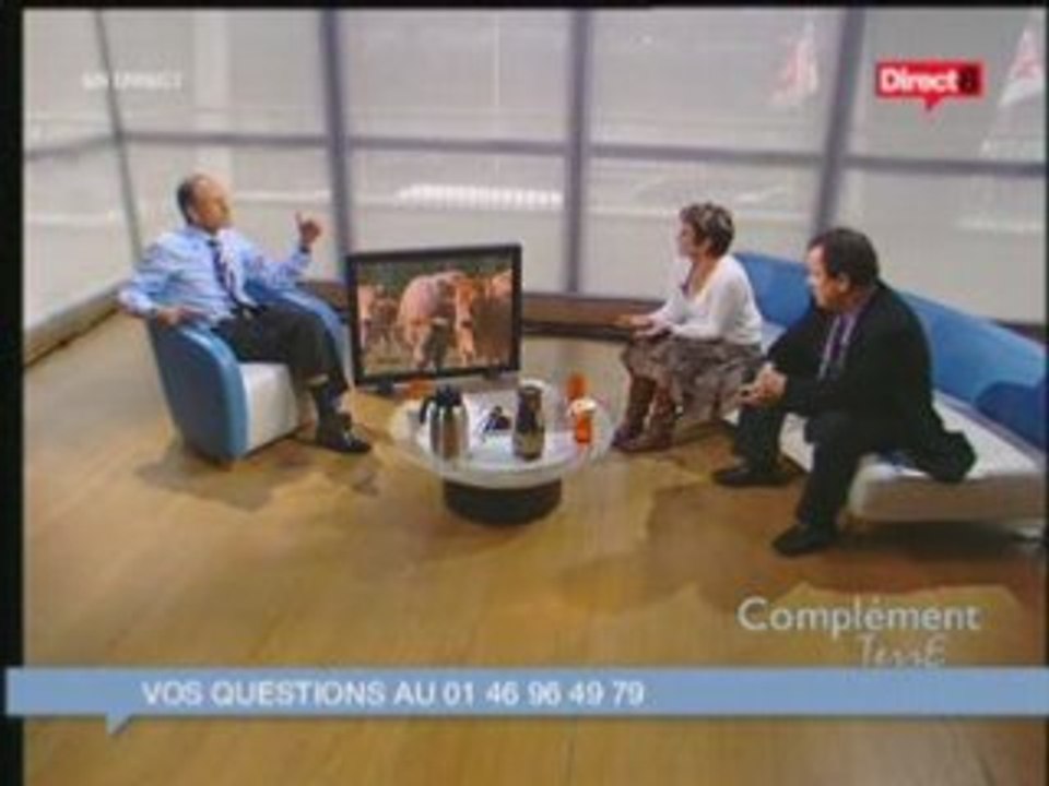 Les vaches dans le vent