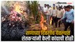 शेतकऱ्याने दीड एकरातील कांदा जाळला; सरकारविरोधात निषेध व्यक्त | Nashik