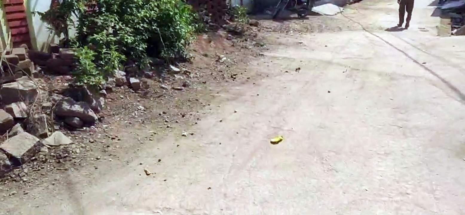 नपा अध्यक्ष के वार्ड में भी हर घर में नहीं हो प...