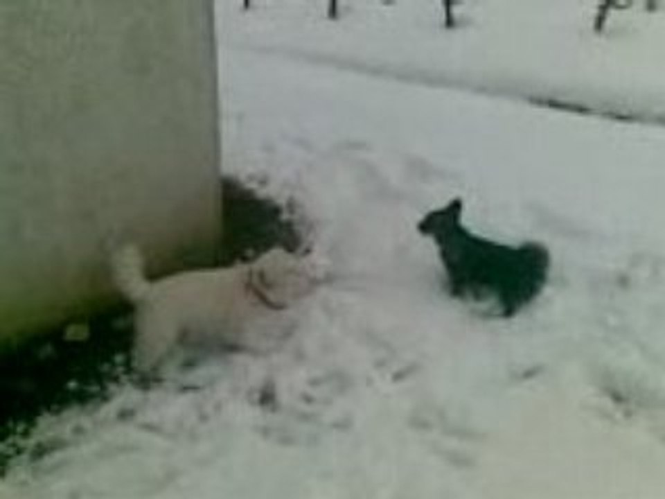 Caid + Fix dans la neige