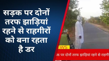 बक्सर: दुर्घटना का सबब बनीं सड़क किनारे झाड़ियां