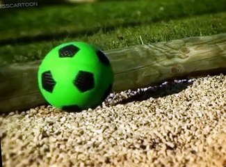 Minuscule Minuscule S03 E006 A Rolling Snail Gathers No Moss