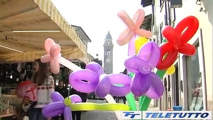 Video News - FIERA AGRICOLA A CALVISANO