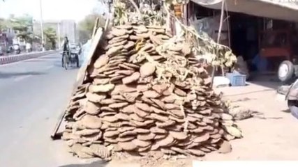 आगरा: होलिका दहन का ये है सही समय, कंफ्यूजन हुआ दूर