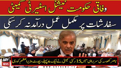 Federal govt could not fully implement the recommendations of National Committee