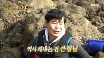 [HOT] It's an extra-large size abalone!, 안싸우면 다행이야 230306