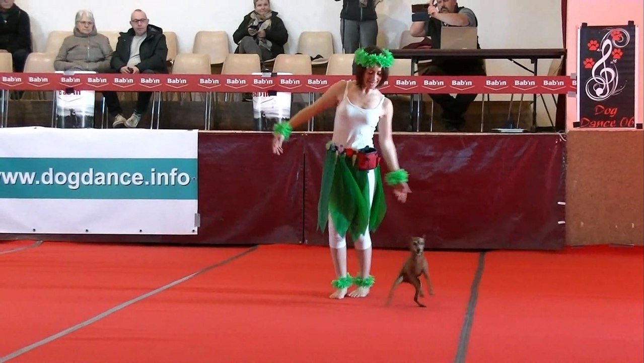 Quelques compétitrices lors de la compétition de danses canines le 5 mars 2023 à Salelles du Bosc