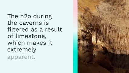 5 Simple Techniques For Bleeding kansas