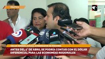 Antes del 1° de abril se podría contar con el dólar diferencial para las economías regionales