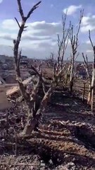 Ucraina, Marinka rasa al suolo dalla Russia: la città fantasma - Video