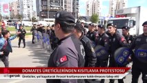 Domates üreticileri yol kapatıp, ihracat kısıtlamalarının kaldırılmasını istedi