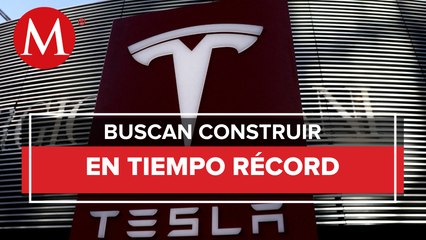 Proyectan primer auto Tesla en un plazo de 14 meses