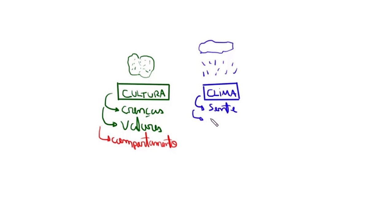 Diferença entre Cultura e clima organizacional
