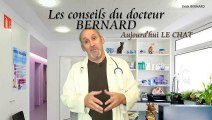 Le docteur BERNARD nous parle aujourd'hui du CHAT