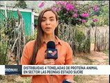Feria del Campo Soberano distribuyó más de 4 toneladas de alimentos en sector Las Peonías edo. Sucre