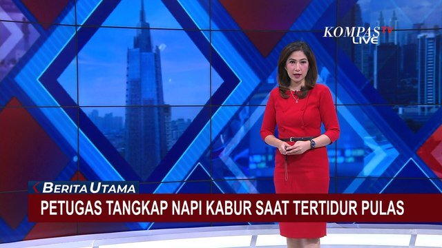 Sempat Kabur dari Lapas, Napi di Pangkalpinang Ditangkap saat Tidur di Kebun Sawit