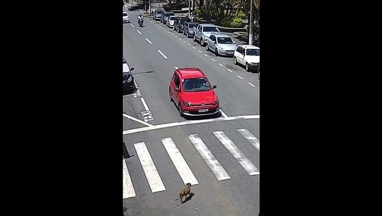 Un motard chanceux finit sur le toit d'une voiture