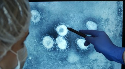 XBB.1.5: What to Know About the 'Most Transmissible' COVID Subvariant Yet