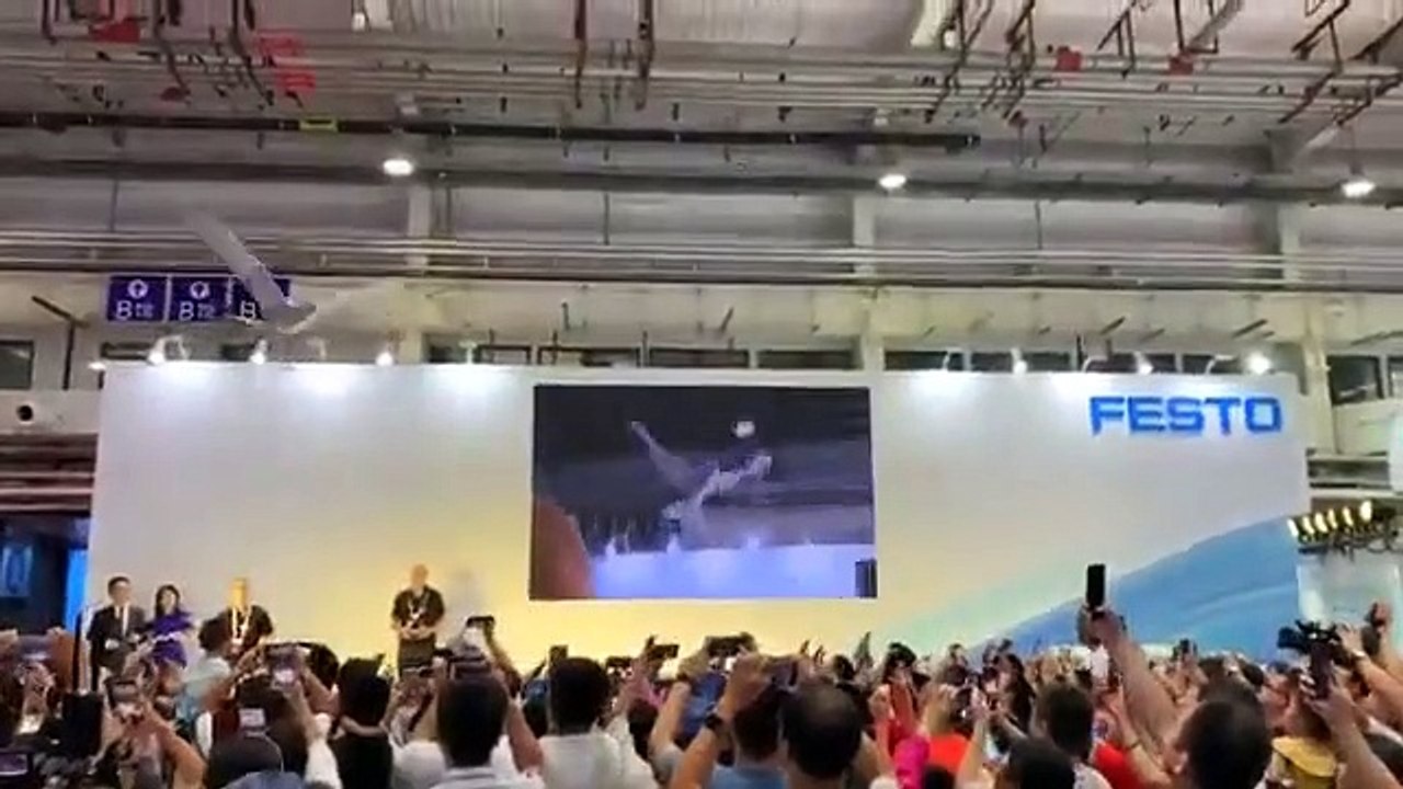 Robotic-Bird