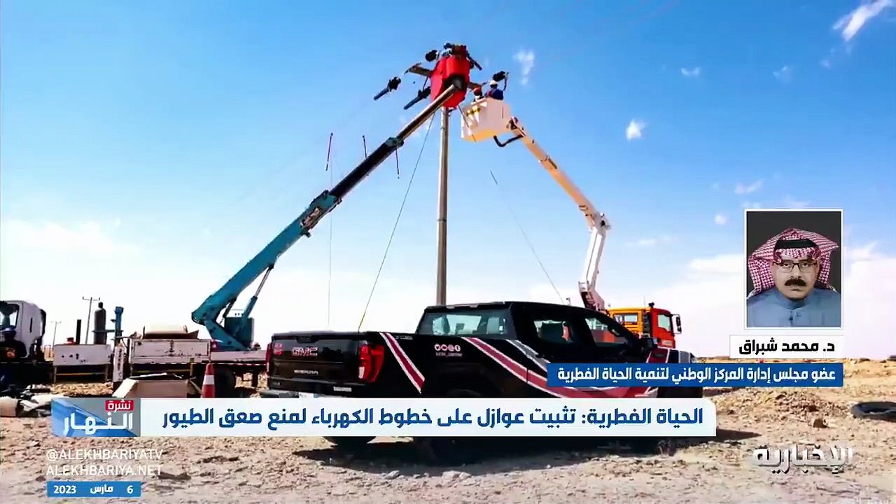 مسؤول: مشروع تثبيت العوازل على خطوط الكهرباء يتيح التعرف على بعض أنواع الطيور المهاجرة