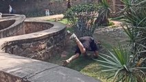 Parkour-lover is saved by his luck following a miscalculated frontflip attempt