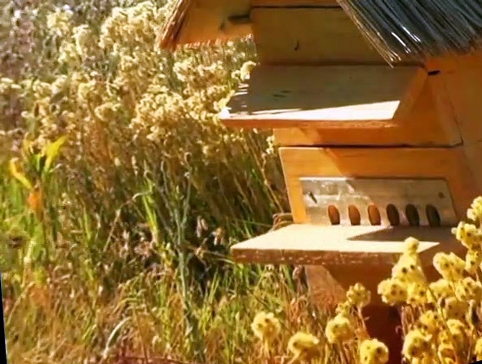 Minuscule S01 E09