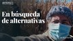 En búsqueda de alternativas | Así se cosecha el maíz sin agroquímicos