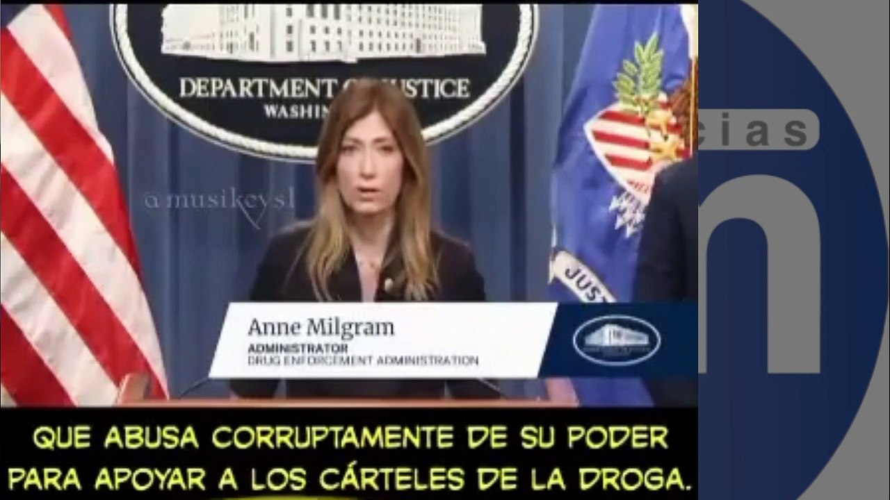 ANNE MILGRAM DEA