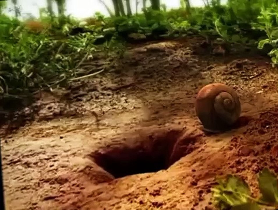 Minuscule S01 E01