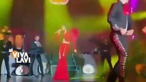 Ana Bárbara sufre accidente durante concierto