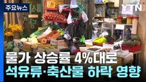 물가, 10개월 만에 4%대...추경호 