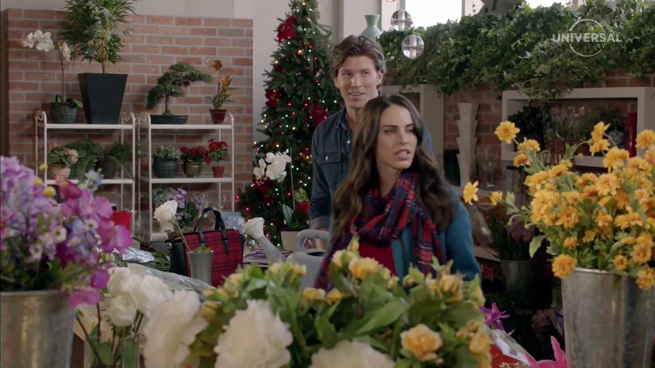 Die perfekte Weihnachtshochzeit (2015)