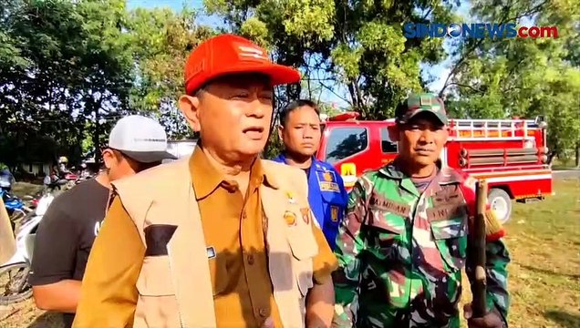 Serang Anak hingga Terluka Parah, Monyet Liar Mati Ditembak Pemburu di Cirebon