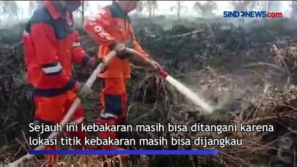 Tải video: Ratusan Hektare Lahan di Ogan Komering Ilir Mulai Terbakar