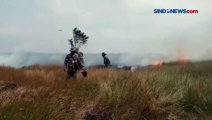 Ratusan Hektare Lahan Terbakar di Kabupaten OKI