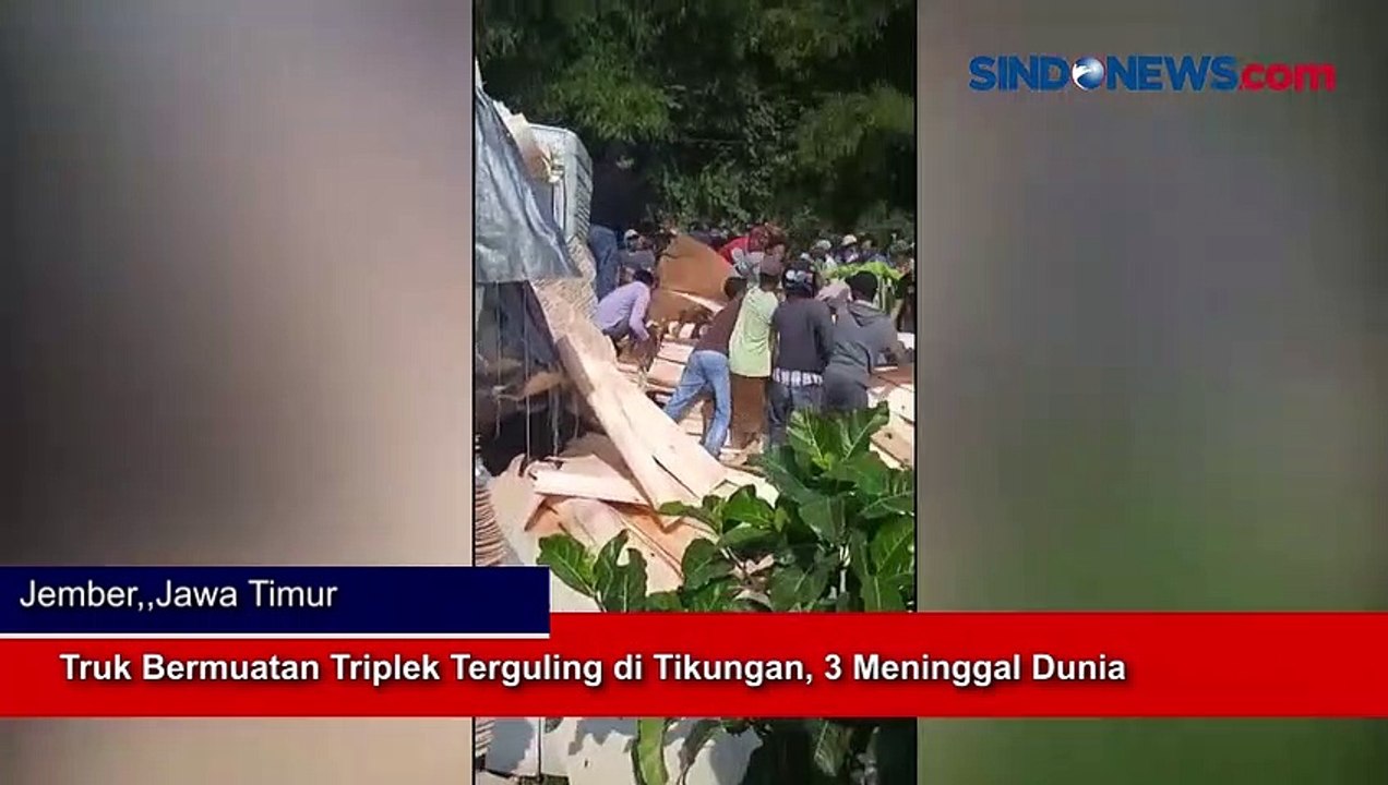 Truk Bermuatan Triplek Terguling di Tikungan, 3 Meninggal Dunia