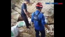 Evakuasi Sanca dan Kobra di Pabrik Tahu, Petugas Temukan Puluhan Butir Telur Ular