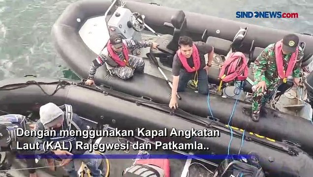Peduli Pelestarian Hewan Langka, TNI AL Bantu Evakuasi Paus Terdampar