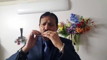 Pyaar Kiya To Darna Kya-Film Mughal-E-Azam 1960 on Harmonica Live Performance by Mukund Kamdar