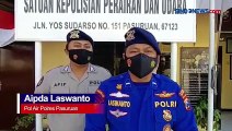 Kawanan Hiu Tutul Terlihat di Laut Pasuruan