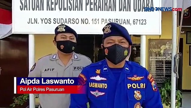 Kawanan Hiu Tutul Terlihat di Laut Pasuruan