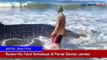 Seekor Hiu Tutul Terdampar di Pantai Selatan Jember