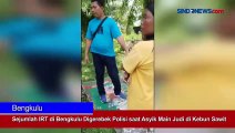 Sejumlah IRT di Bengkulu Digerebek Polisi saat Asyik Main Judi di Kebun Sawit