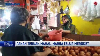 Pakan Ternak Mahal, Harga Telur Meroket