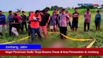 Geger Penemuan Gadis Tanpa Busana Tewas di Area Persawahan di Jombang