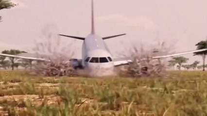 O Piloto Derrubou o Avião De Passageiros