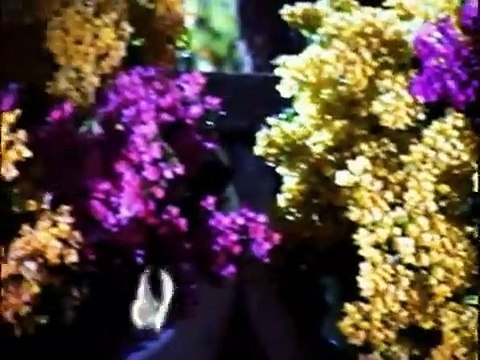 Xuxa Só para Baixinhos | movie | 2000 | Official Clip
