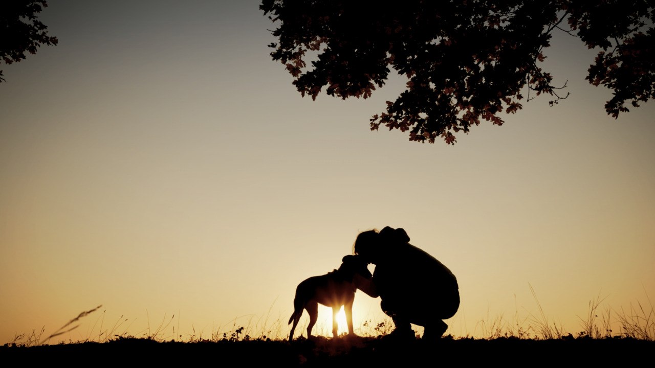 Chick fil A Brings Texas Woman To Tears With Special Gift After The Death Of Her Dog